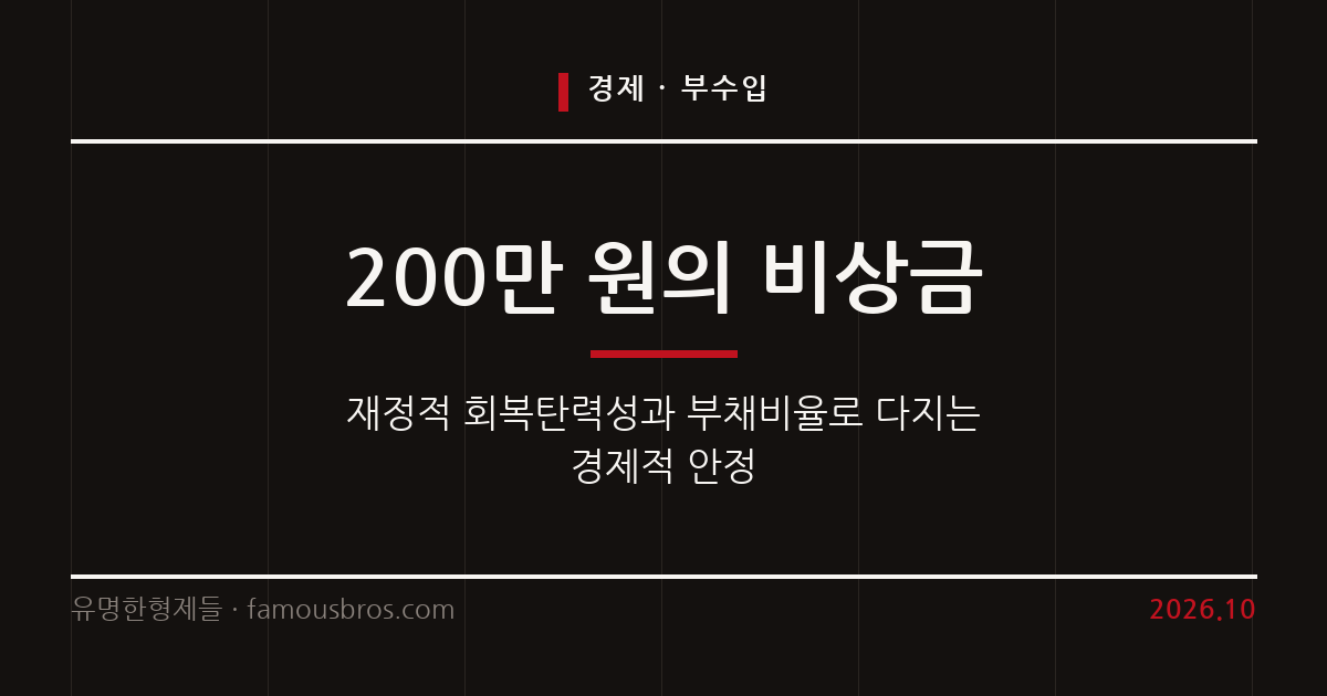재정적 회복탄력성과 부채비율 관리를 통한 경제적 안정 방안을 정리한다. 커버 이미지