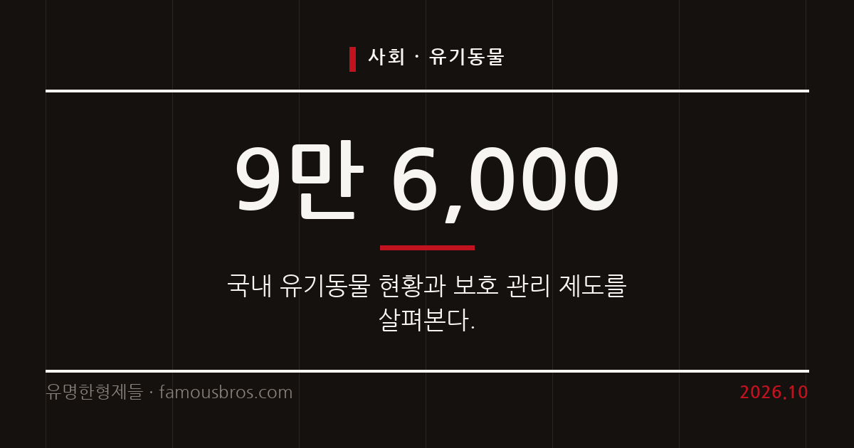 국내 유기동물 발생 현황과 보호소 공고 제도 및 적응 규칙을 살펴본다. 커버 이미지