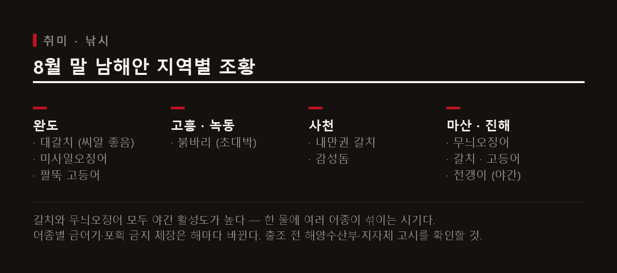 8월 말 남해안 지역별 조황 정리. 완도의 대갈치·미사일오징어, 고흥·녹동의 붉바리, 사천의 내만권 갈치·감성돔, 마산·진해의 무늬오징어와 야간 어종.