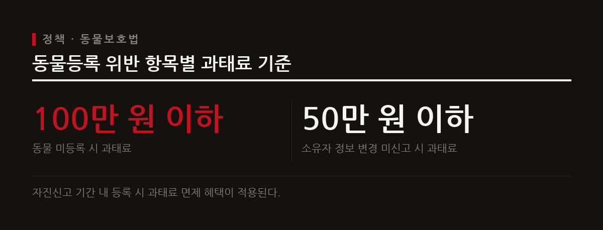 미등록 시 최대 100만 원, 변경 미신고 시 50만 원 과태료가 부과되므로 자진신고 기간을 활용해야 한다.