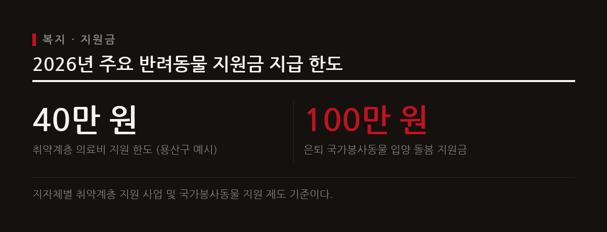 취약계층 가구는 마리당 최대 40만 원의 의료비를 지원받으며 은퇴 봉사동물 입양 시 100만 원을 지원받는다.