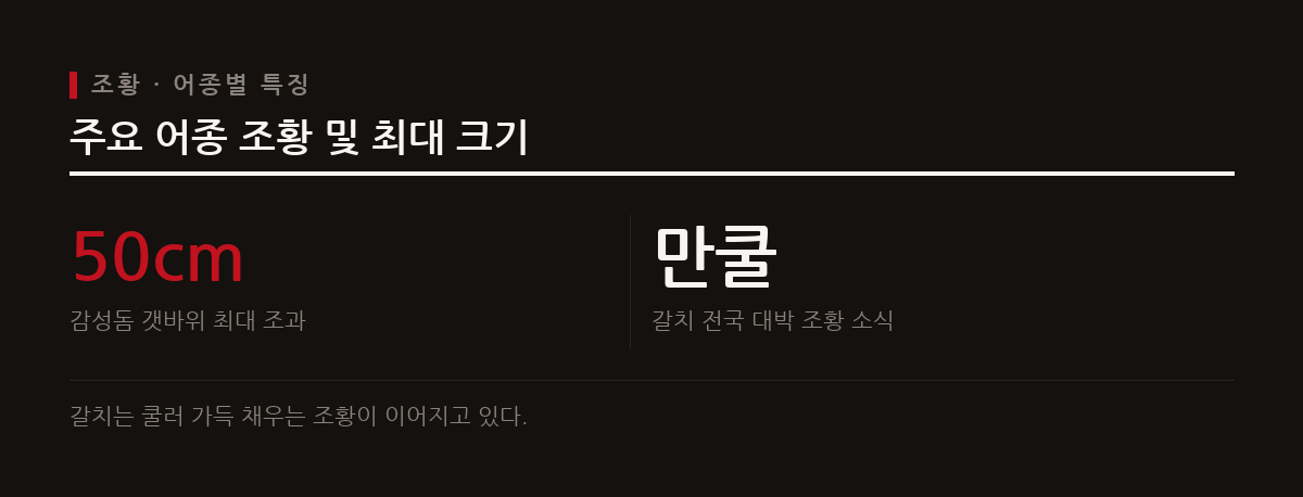 9월 하순 전국 각지에서 갈치와 최대 50cm 감성돔 등 주요 어종의 조황이 활발하다.