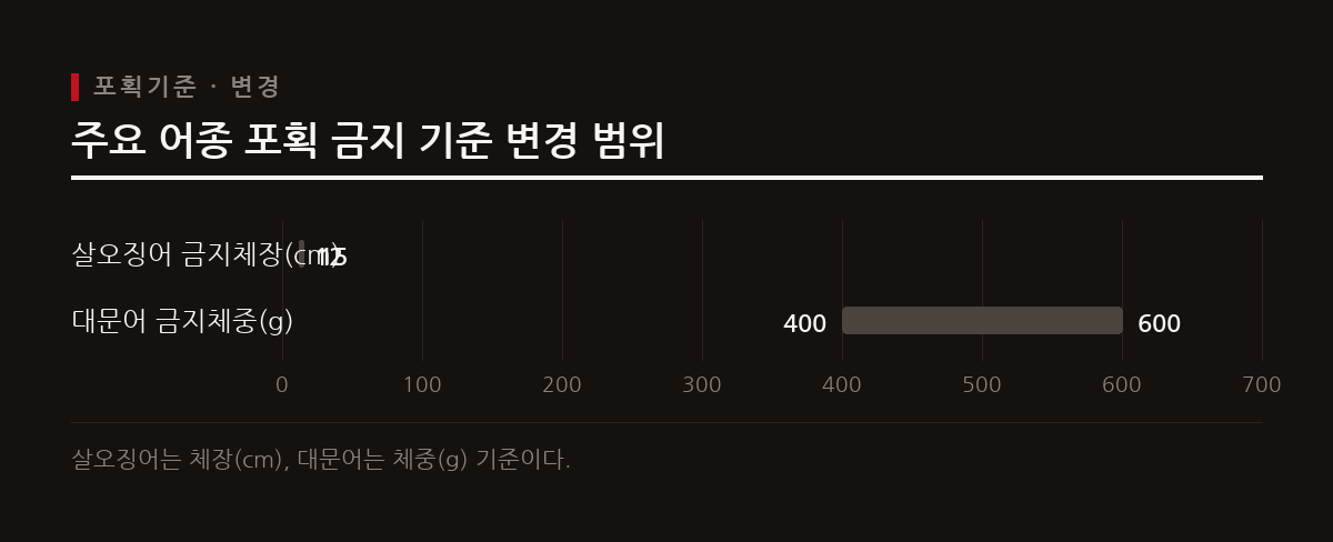 살오징어 금지체장은 12cm에서 15cm로, 대문어 금지체중은 400g에서 600g 이하로 상향 조정된다.