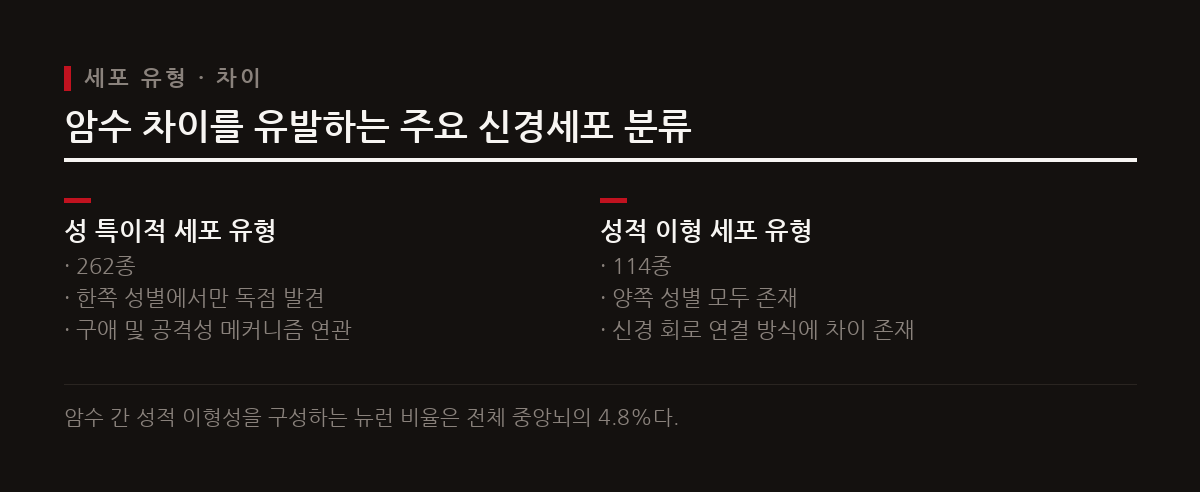중앙뇌 뉴런 중 약 4.8%가 암수 간 차이를 보이며 성 특이적 세포 유형이 밝혀졌다.