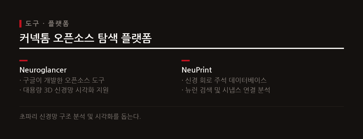 공개된 커넥톰 데이터는 Neuroglancer 및 NeuPrint 등의 플랫폼을 통해 접근 가능하다.