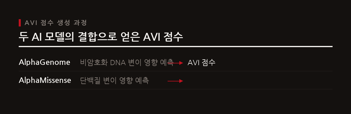 AlphaGenome과 AlphaMissense 결과를 결합한 AVI 점수가 제공되어 변이 분석 복잡도를 낮추며, 희귀 질환 유전자 변이 탐색에 사전 활용되었다.