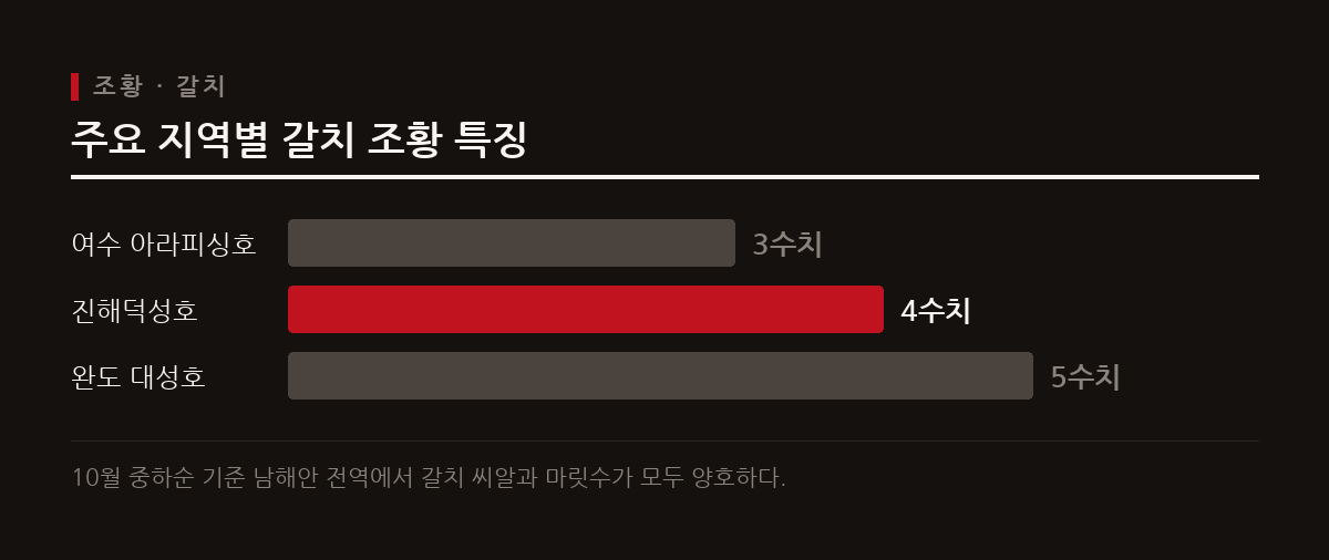 여수와 진해, 완도 등 주요 출조 지역에서 씨알 굵은 갈치가 대량으로 올라오며 쿨러를 채우는 조황이 이어지고 있다.