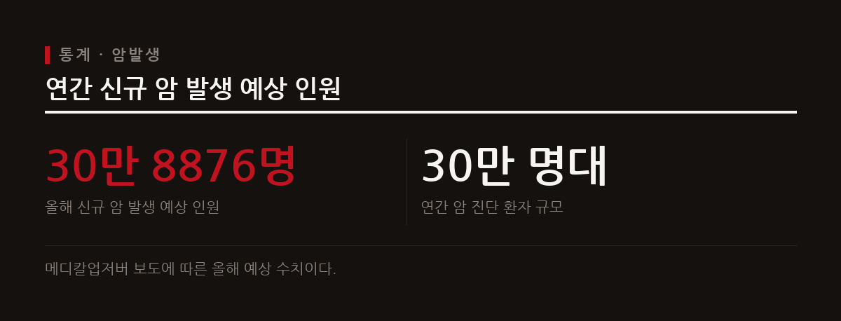 올해 국내 신규 암 발생 환자가 30만 명을 넘을 것으로 예상되는 통계 수치다.