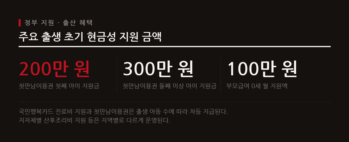 정부는 첫만남이용권과 부모급여 등 출산 가구를 위한 다양한 지원 제도를 운영하고 있다.