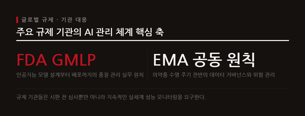 미국 FDA와 유럽 EMA는 AI 의약품과 의료기기의 수명 주기를 관리하기 위해 공동의 원칙과 엄격한 심사 지침을 마련하고 있다.