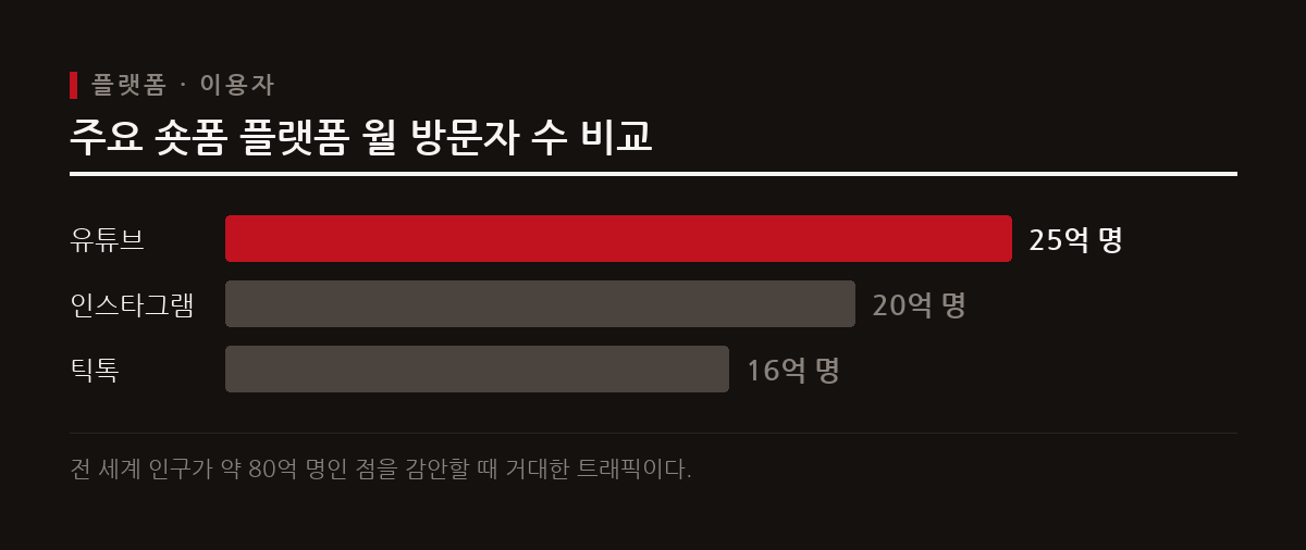 유튜브, 인스타그램, 틱톡 등 주요 숏폼 플랫폼은 막대한 이용자 기반을 확보하고 있다.