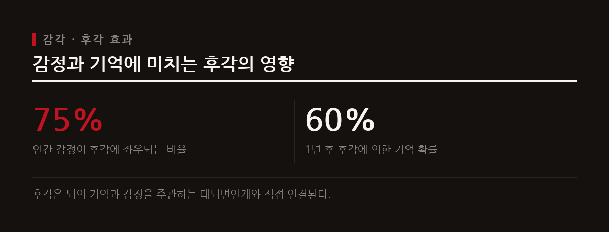 인간의 후각은 대뇌변연계와 직접 연결되어 시각이나 청각보다 훨씬 강력하게 기억과 감정을 남긴다.