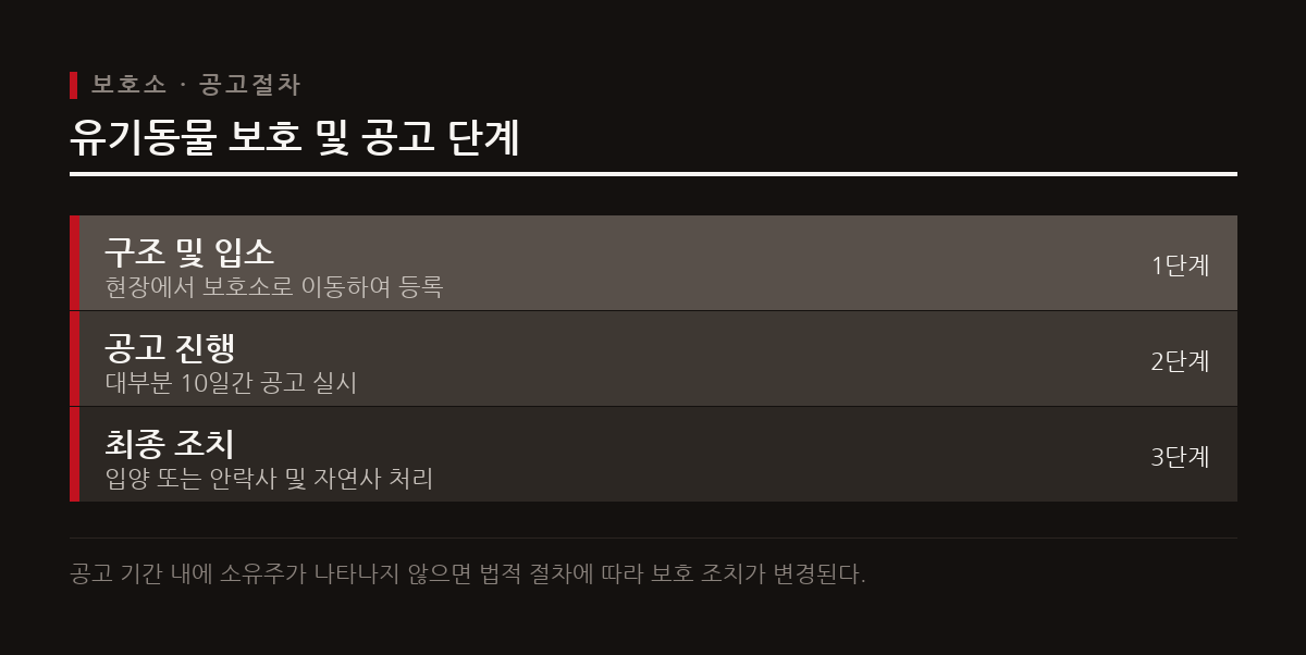 보호소에 입소한 유기동물은 일정 기간 공고를 거치며 이 기간이 지나면 소유권이 지자체로 이전된다.